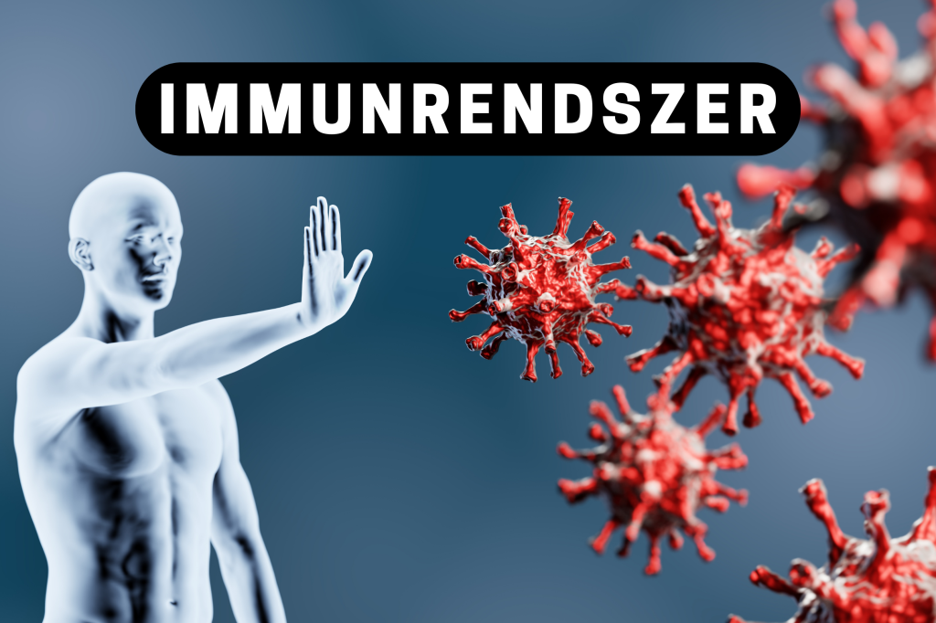 Az immunrendszer szabotőrei: a rejtett gyulladások