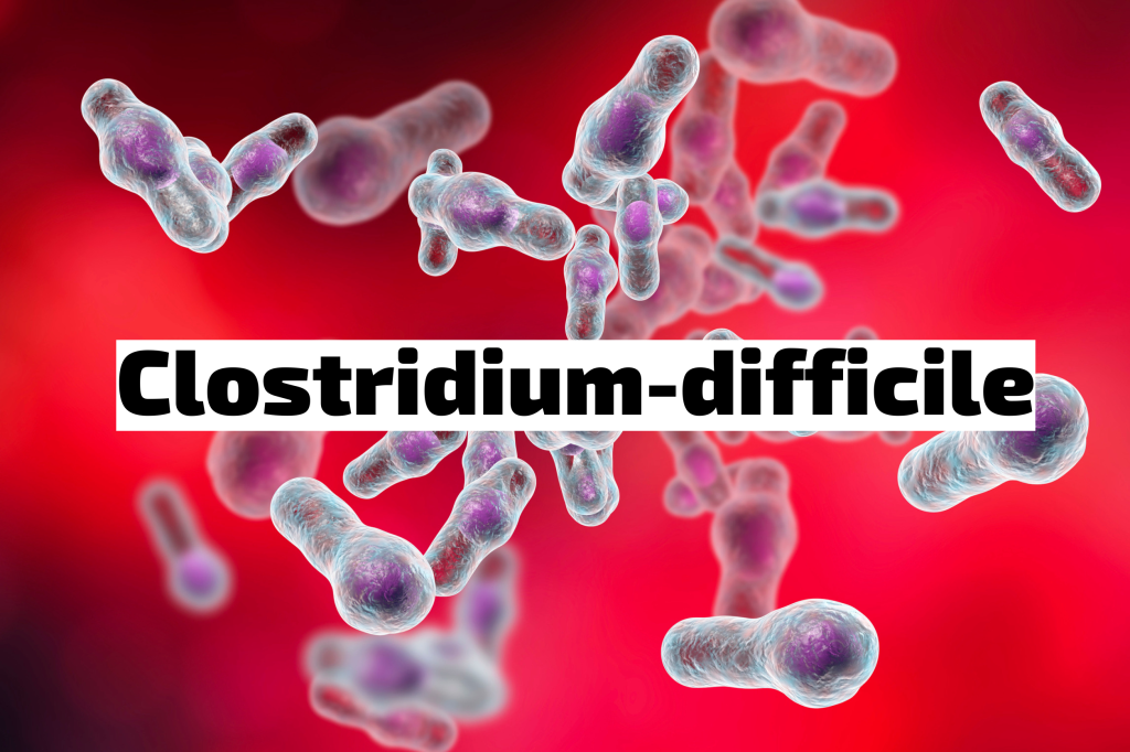 Egy furcsa nevű baktérium, a clostridium difficile